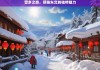 雪乡之旅，领略东北的独特魅力，雪乡之旅，感受东北独特魅力