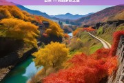 山东 11 月的多彩之旅，山东十一月的多彩风情之旅