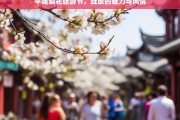 平遥梨花旅游节，绽放的魅力与风情，平遥梨花旅游节，魅力与风情绽放