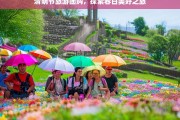 清明节旅游团购，探索春日美好之旅，清明节旅游团购，春日美好之旅开启