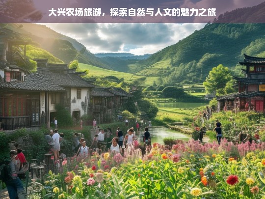 大兴农场旅游，探索自然与人文的魅力之旅