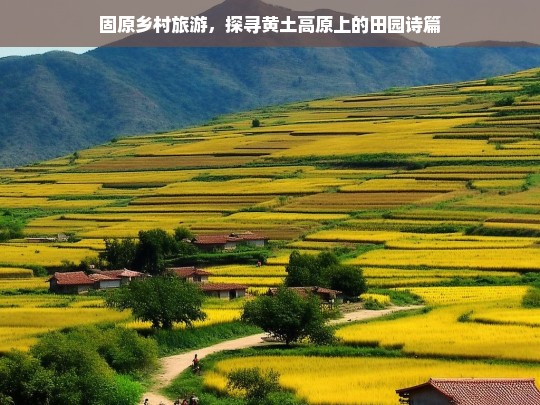 固原乡村旅游，探寻黄土高原上的田园诗篇