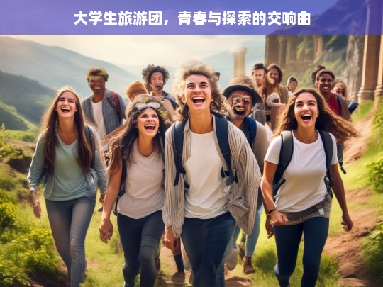 大学生旅游团，青春与探索的交响曲