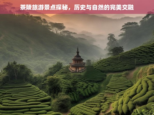 茶陵旅游景点探秘，历史与自然的完美交融