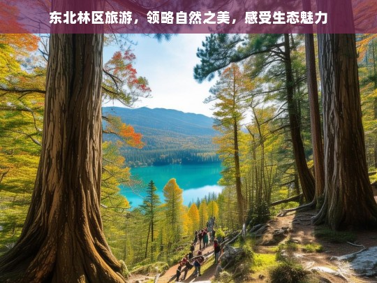 东北林区旅游，领略自然之美，感受生态魅力