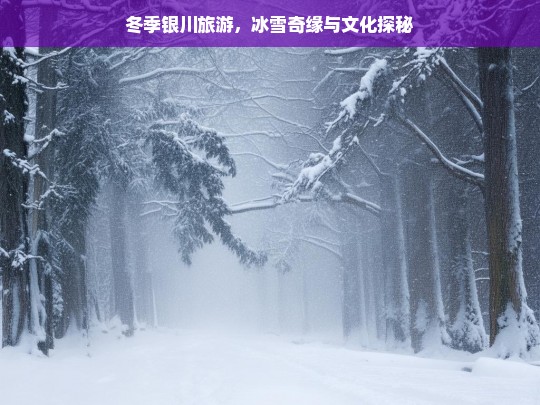 冬季银川旅游，冰雪奇缘与文化探秘