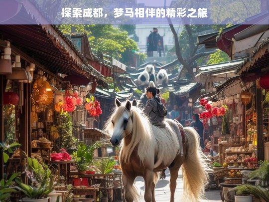 探索成都，梦马相伴的精彩之旅