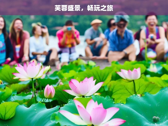 芙蓉盛景，畅玩之旅