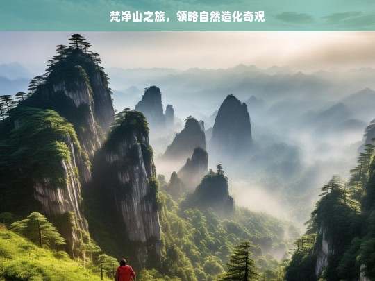 梵净山之旅，领略自然造化奇观