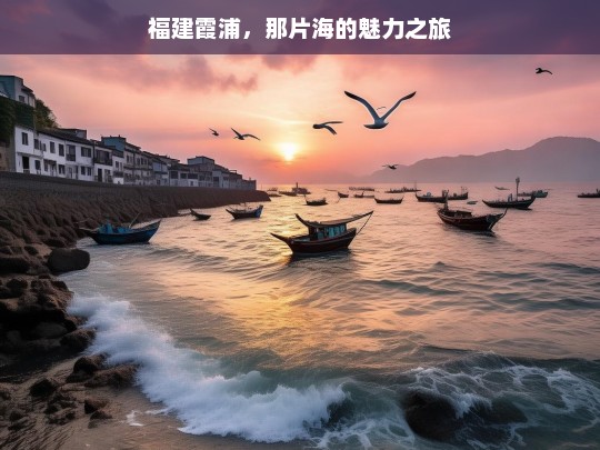 福建霞浦，那片海的魅力之旅