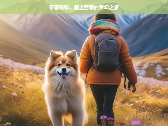 带着狗狗，踏上西藏的梦幻之旅