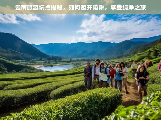 云南旅游坑点揭秘，如何避开陷阱，享受纯净之旅