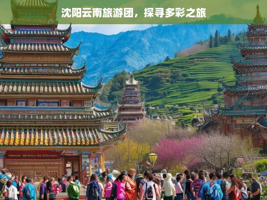 沈阳云南旅游团，探寻多彩之旅