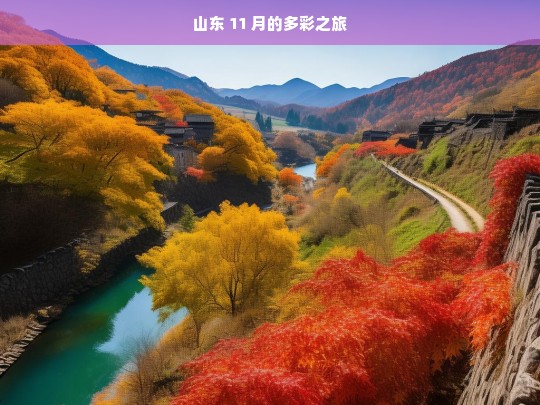 山东 11 月的多彩之旅