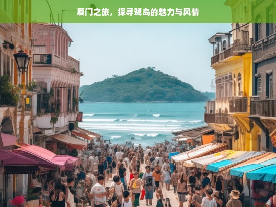 厦门之旅，探寻鹭岛的魅力与风情