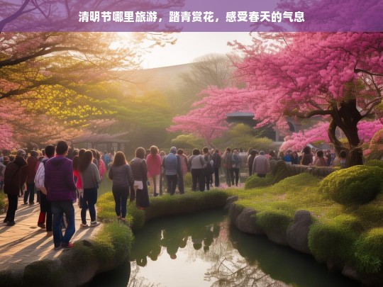 清明节哪里旅游，踏青赏花，感受春天的气息