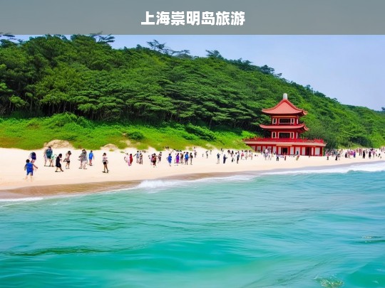 上海崇明岛旅游